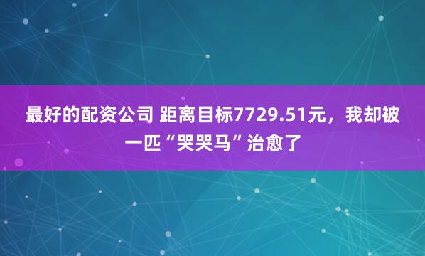 最好的配资公司 距离目标7729.51元，我却被一匹“哭哭马”治愈了